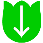 261