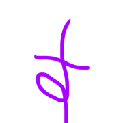 013