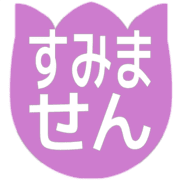 291