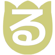 041