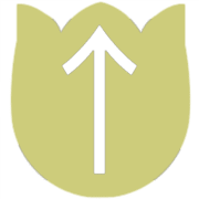 260