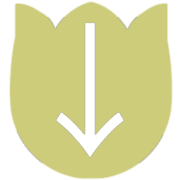 261