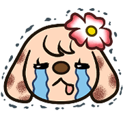 010