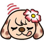 016