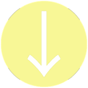 261