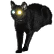 016