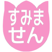 291