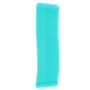 081