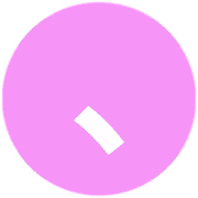 256
