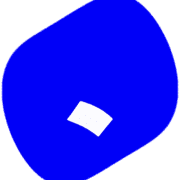 256