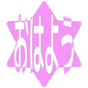 303