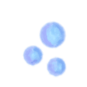 021