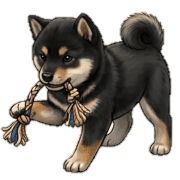 027