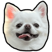001