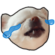 006