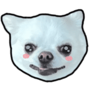 008