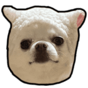 015
