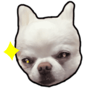 029