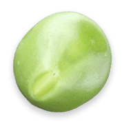 017