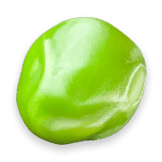 031