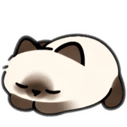 019