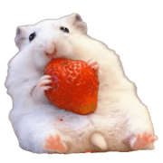 Hamster Party 2