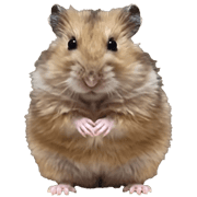 Hamster Party 2 รูปที่ 17