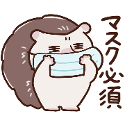 031