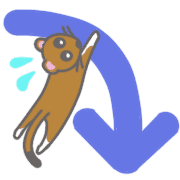 029