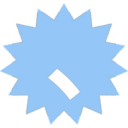 256