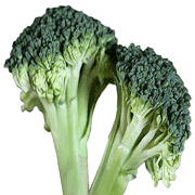 032