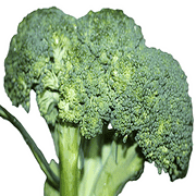 037