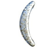 073