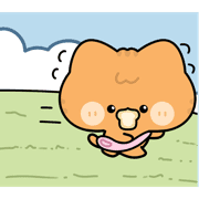 005