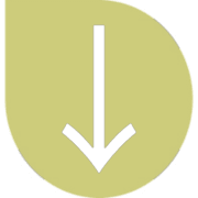 261