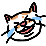 009