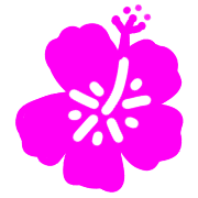 029