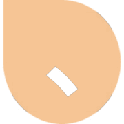 256