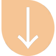 261
