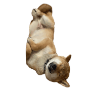 029