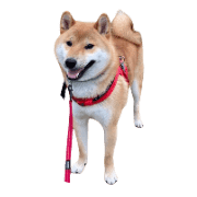 030