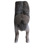 009