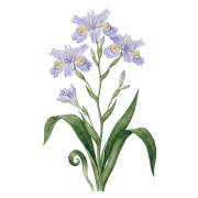 004