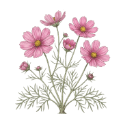 018