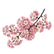 019