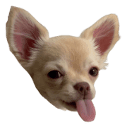 015