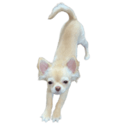 034
