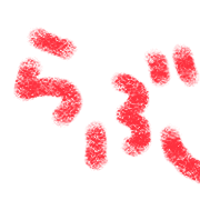 005