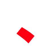 256