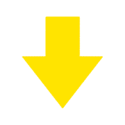 261